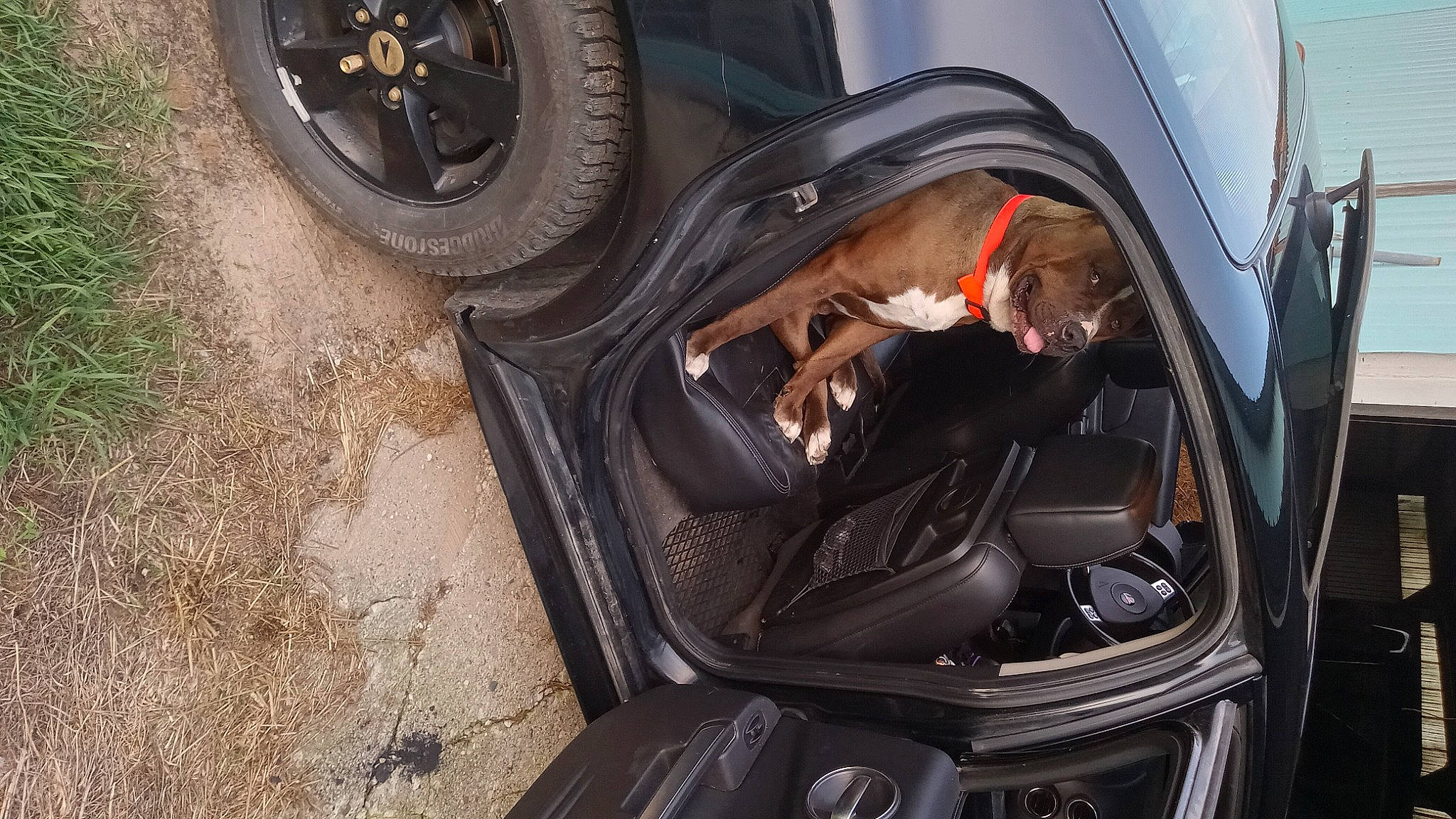 Lenny joined the competition — help win amazing prizes! alloy_wheel, automotive_design, automotive_exterior, automotive_lighting, automotive_tire, automotive_wheel_system, bumper, car, fender, hood, hubcap, motor_vehicle, personal_luxury_car, rim, synthetic_rubber, tire, tread, vehicle, vehicle_door, wheel