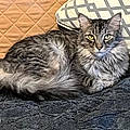 Olinka C.