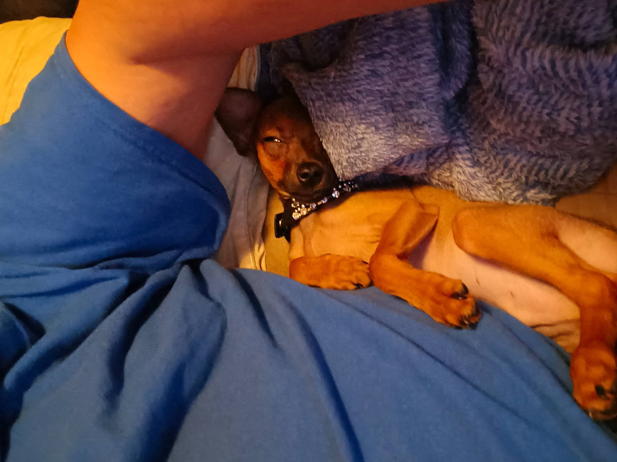 Hank is registered to the contest to win money with this photo: abdomen, arm, bed, chest, comfort, dress, elbow, electric_blue, finger, gesture, human_body, human_leg, joint, knee, leg, linens, neck, thigh, trunk, wrist