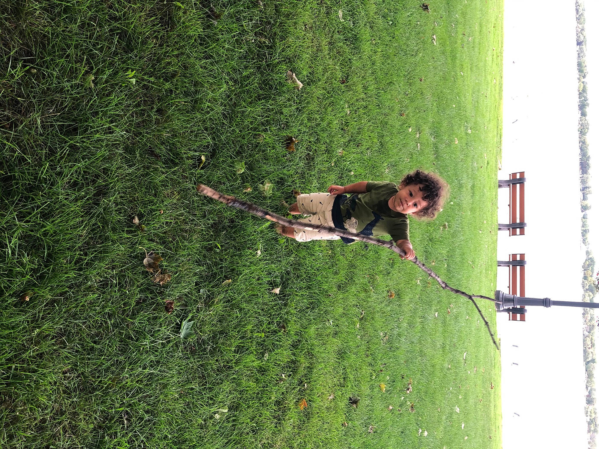 Darnell joined the competition — help win amazing prizes! grass, green, organism, person, plant, tree