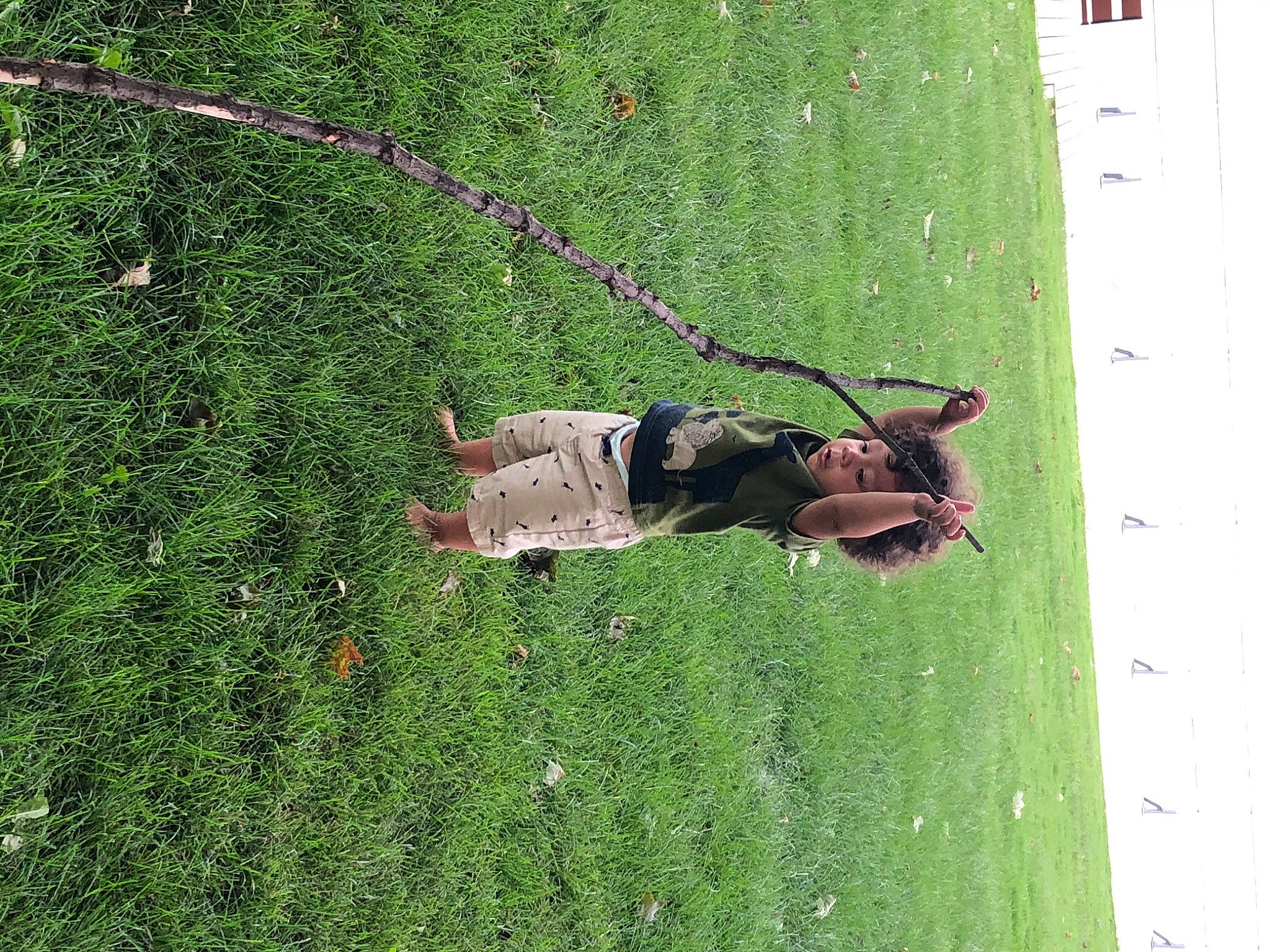 Darnell joined the competition — help win amazing prizes! grass, green, leaf, organism, person, plant, plant_stem, sporting_group, tree, trunk