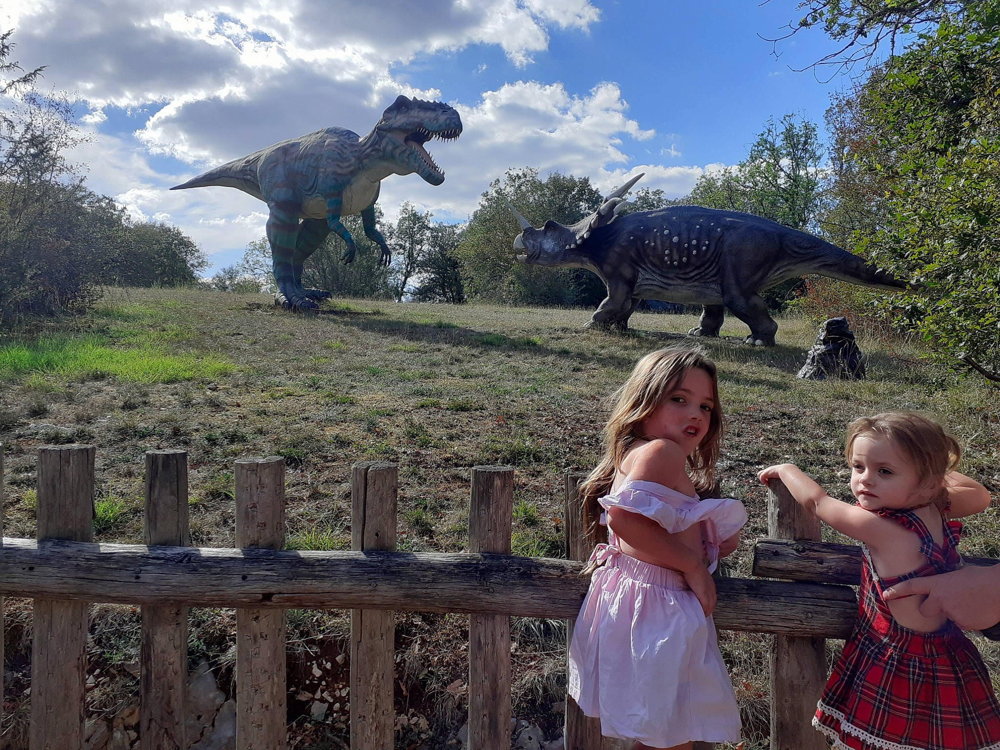 Stéfyne participe au concours pour gagner de l'argent avec cette photo : adaptation, art, botany, cloud, dinosaur, fence, fun, grass, landscape, leisure, nature, person, plant, sculpture, sky, statue, temple, terrestrial_animal, toddler, tree