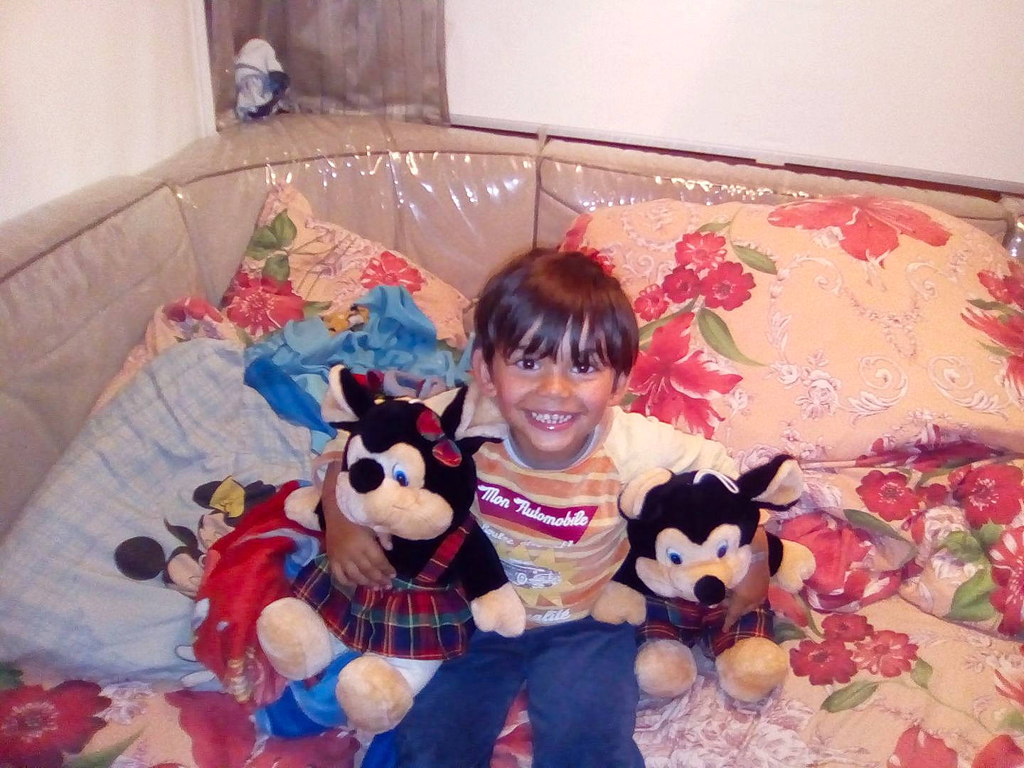 Falco a rejoint le concours — aidez-le/la à gagner de superbes lots ! carnivoran, dog_like_mammal, flooring, infant, joy, material, person, play, plush, product, stuffed_toy, textile, toddler, toy