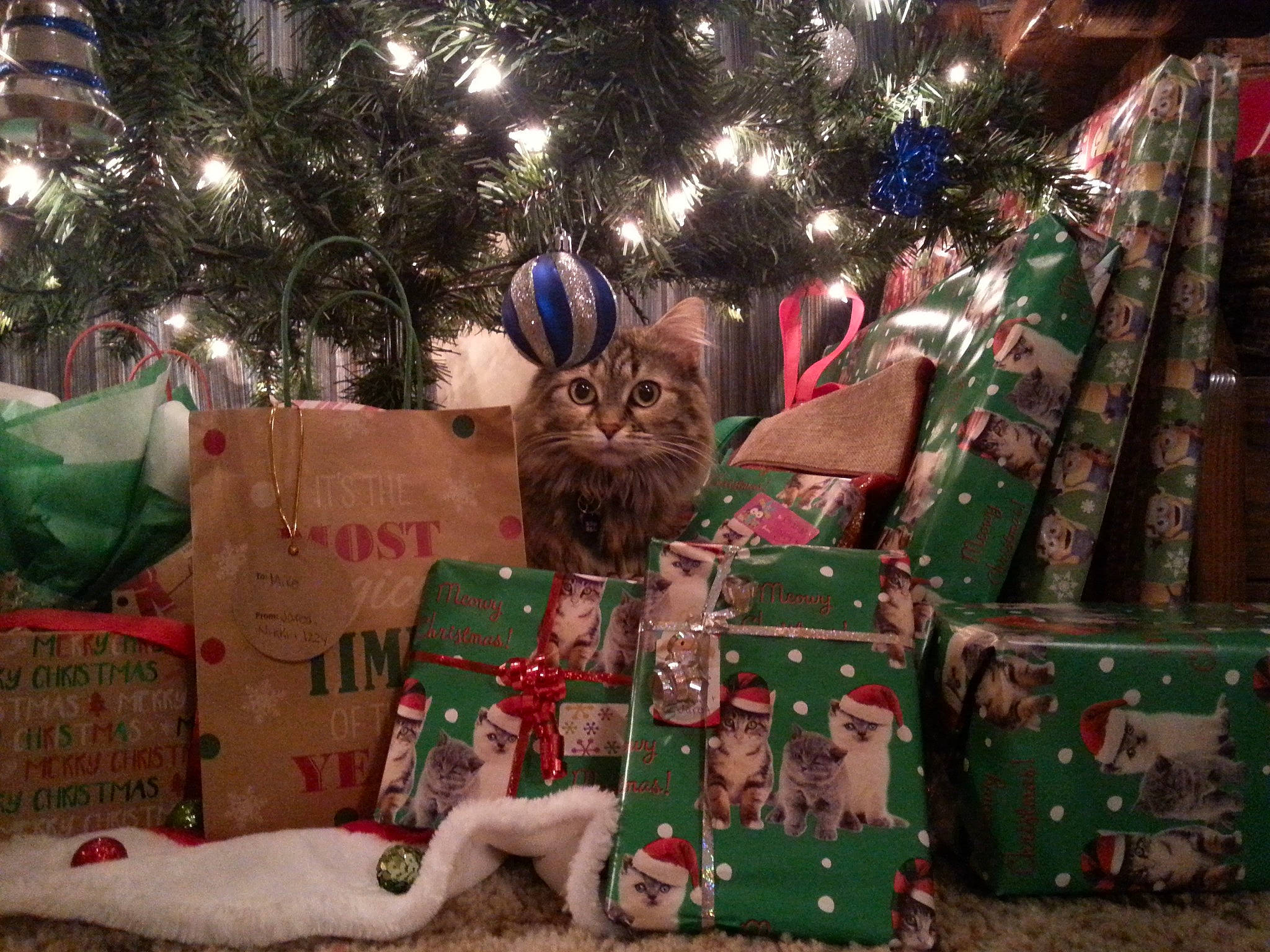 Isabelle joined the competition — help win amazing prizes! christmas, christmas_decoration, christmas_eve, christmas_ornament, christmas_tree, event, holiday, interior_design, present, tree