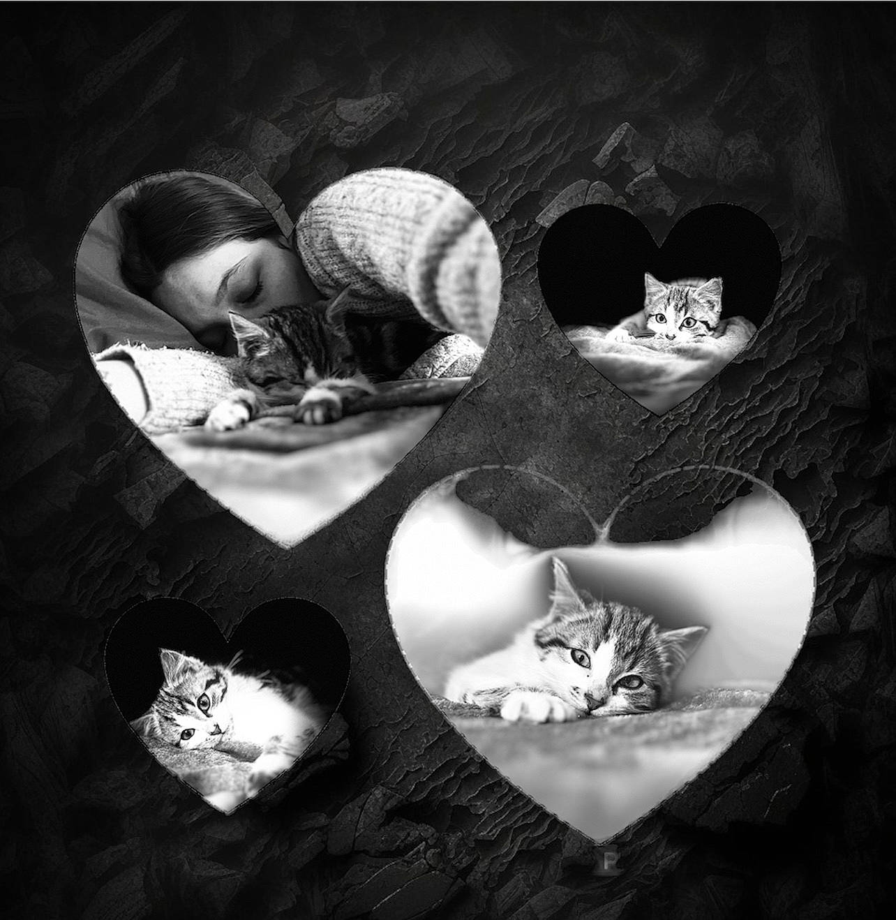 Kyra a rejoint le concours — aidez-le/la à gagner de superbes lots ! art, black, black_and_white, circle, darkness, fashion_accessory, flash_photography, font, grey, jaw, metal, monochrome, monochrome_photography, organism, pattern, shadow, still_life_photography, stock_photography, style, whiskers