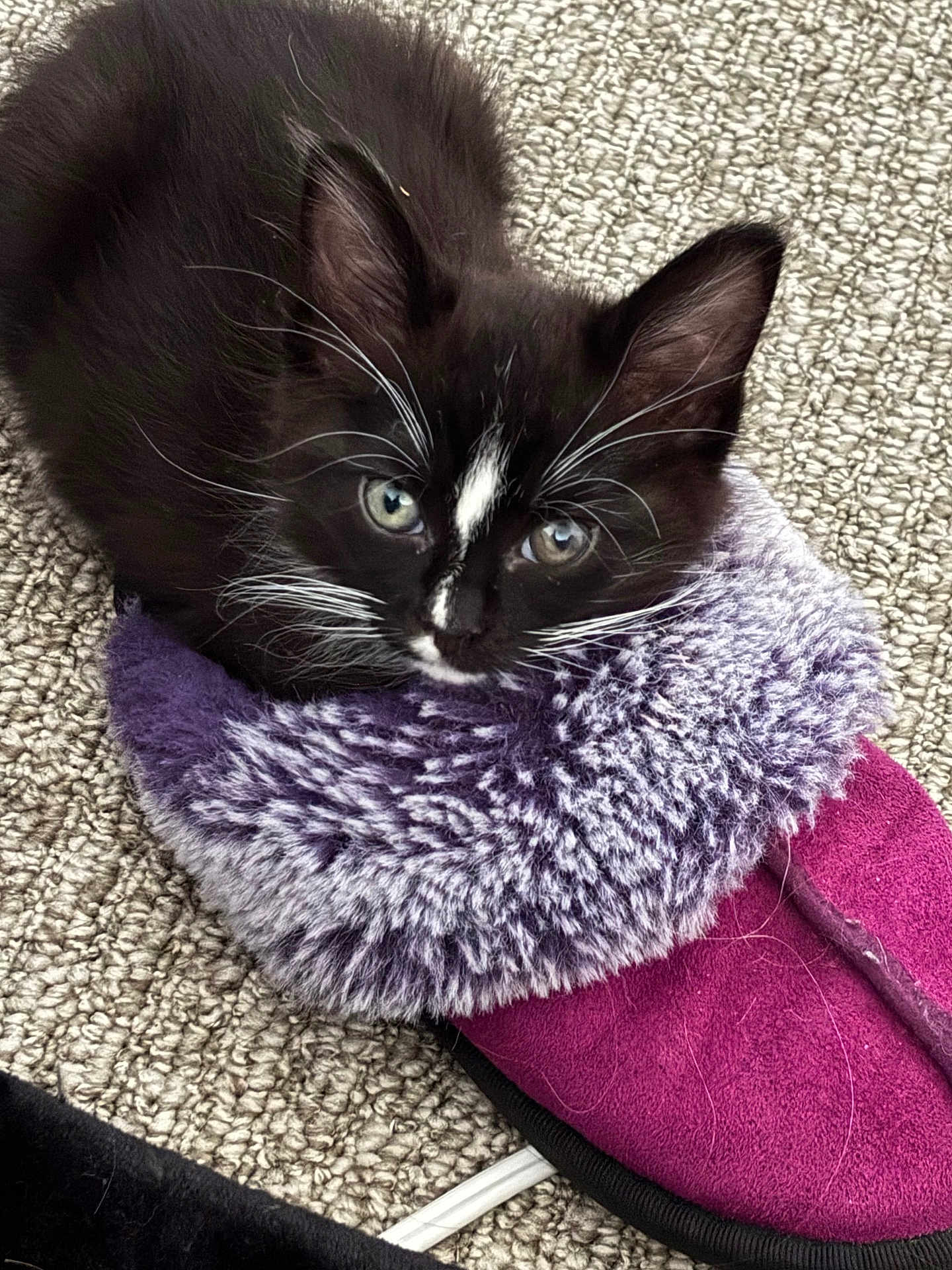 Sebastian