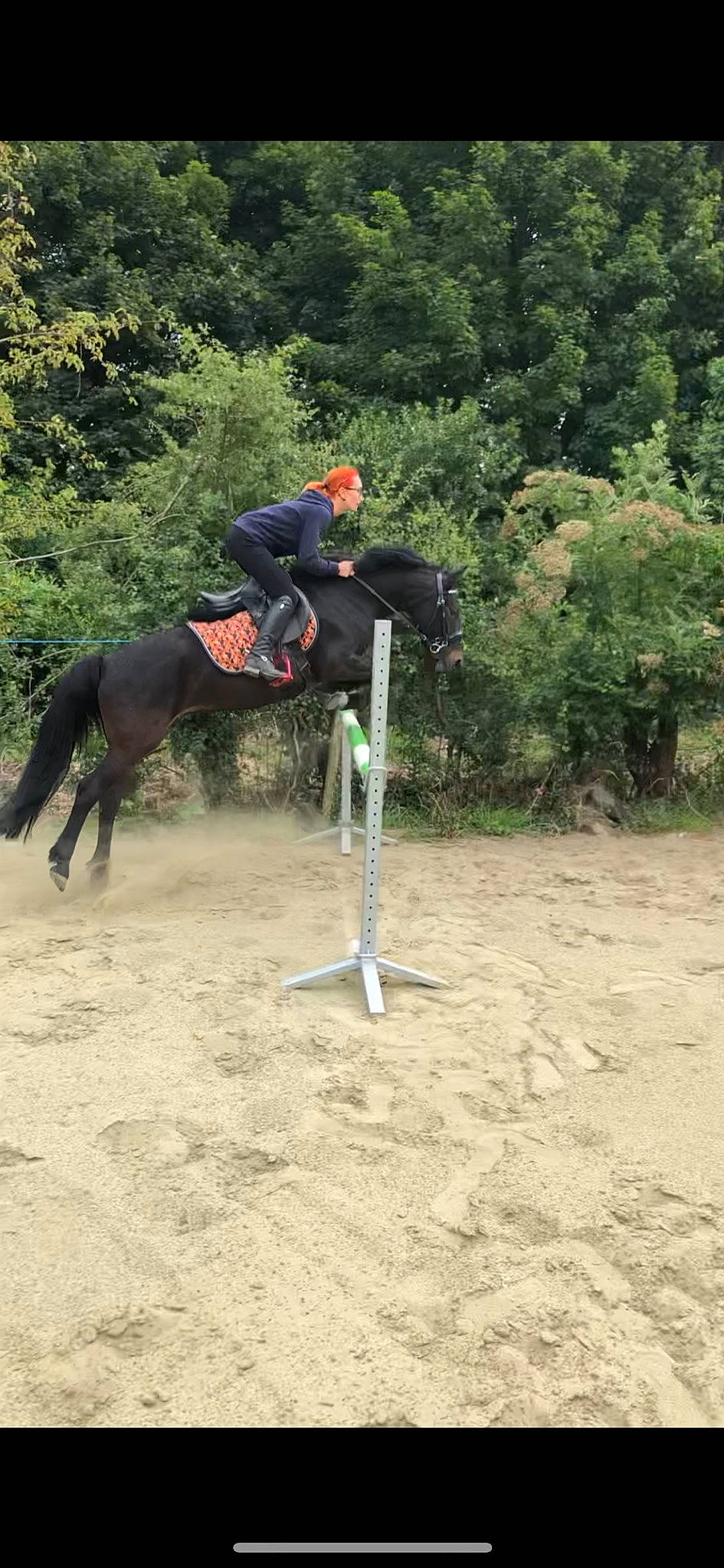 Nolita participe au concours pour gagner de l'argent avec cette photo : animal_sports, bridle, endurance_riding, english_riding, equestrian_sport, equestrianism, equitation, eventing, halter, horse, horse_supplies, horse_tack, jumping, outdoor_recreation, recreation, rein, saddle, show_jumping, sports