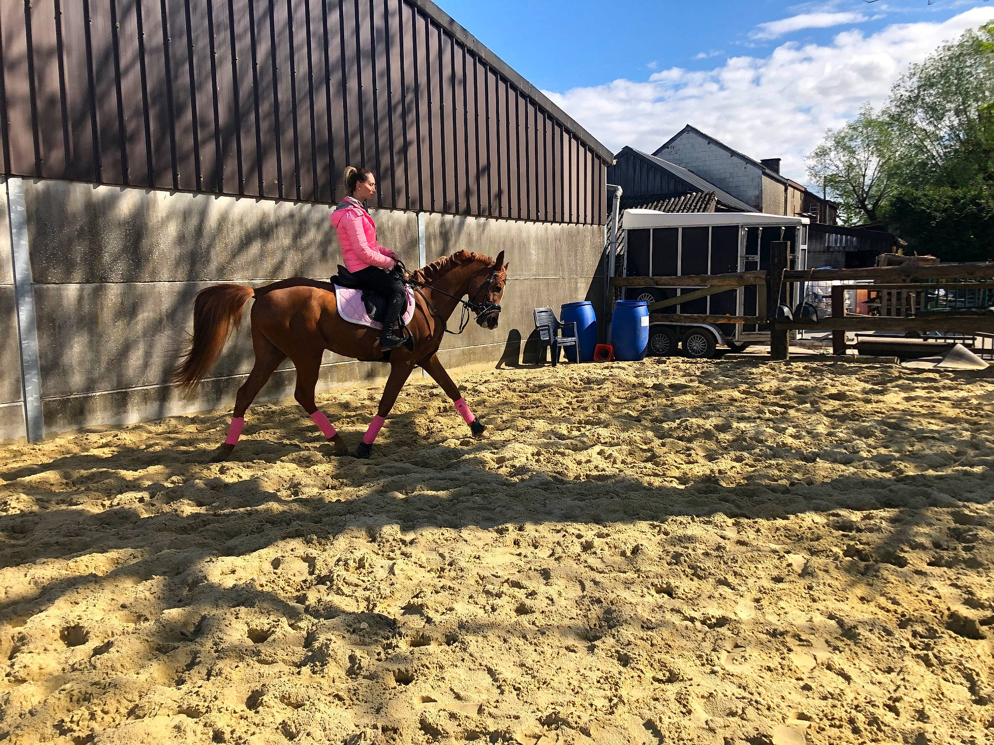 Bjorg participe au concours pour gagner de l'argent avec cette photo : animal_sports, bridle, equestrianism, equitation, halter, horse, horse_supplies, horse_tack, landscape, mammal, mane, mare, pack_animal, ranch, recreation, rein, saddle, sky, stallion, tree