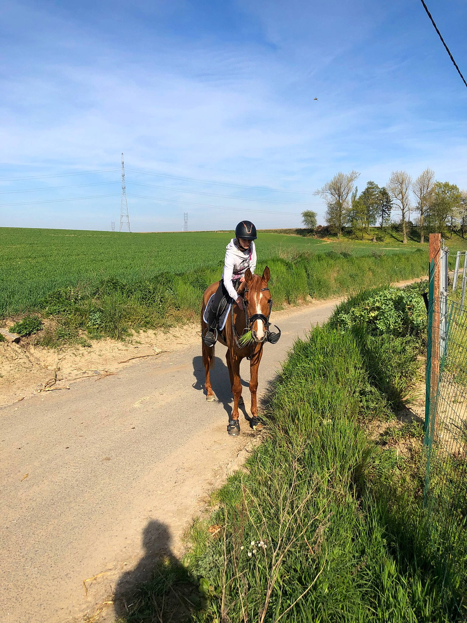 Bjorg a rejoint le concours — aidez-le/la à gagner de superbes lots ! adventure, dirt_road, farm, grass, grassland, horse, landscape, mountain, pasture, ranch, recreation, road, rural_area, trail, trail_riding, vehicle, working_animal
