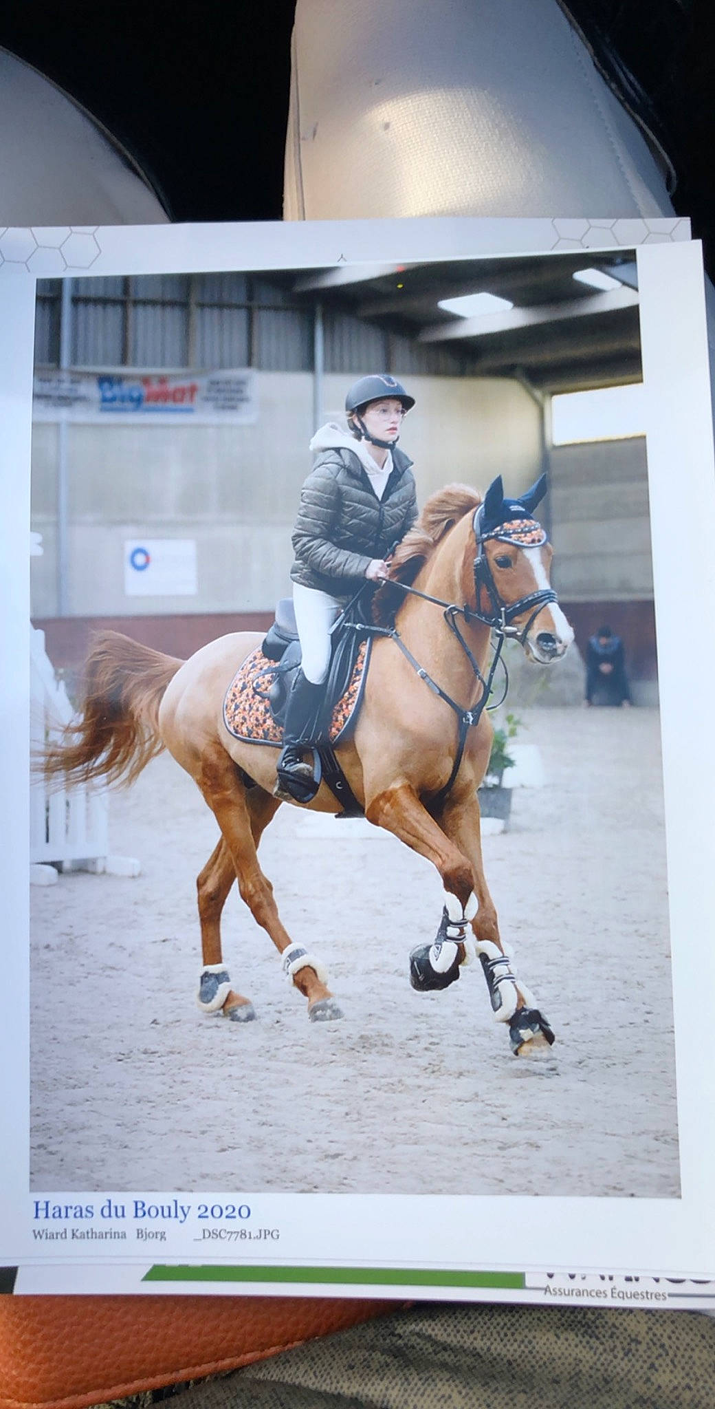 Bjorg a rejoint le concours — aidez-le/la à gagner de superbes lots ! animal_sports, bridle, dressage, english_riding, equestrian, equestrian_sport, equestrianism, halter, horse, horse_supplies, horse_tack, hunt_seat, mammal, mane, outdoor_recreation, recreation, rein, saddle, stallion, vertebrate