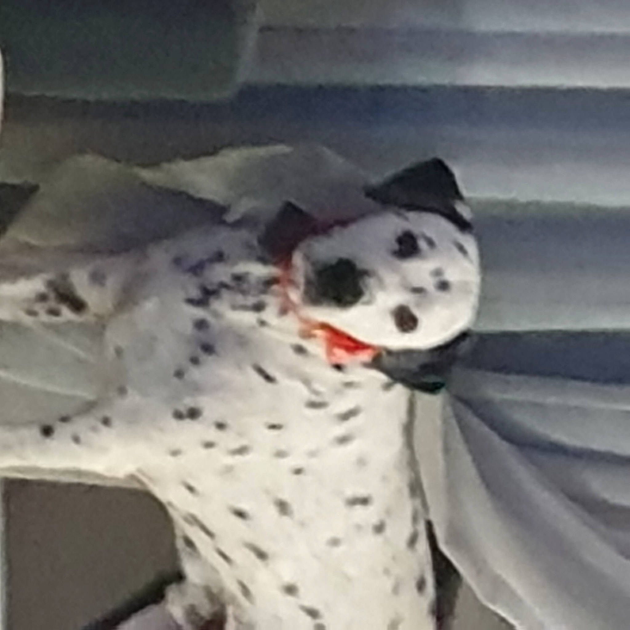 Hollywood a rejoint le concours — aidez-le/la à gagner de superbes lots ! art, canidae, carmine, carnivore, dog_breed, felidae, fur, grey, metal, pattern, sky, small_to_medium_sized_cats, snout, snow_leopard, tail, terrestrial_animal, toy, visual_arts, whiskers, wildlife