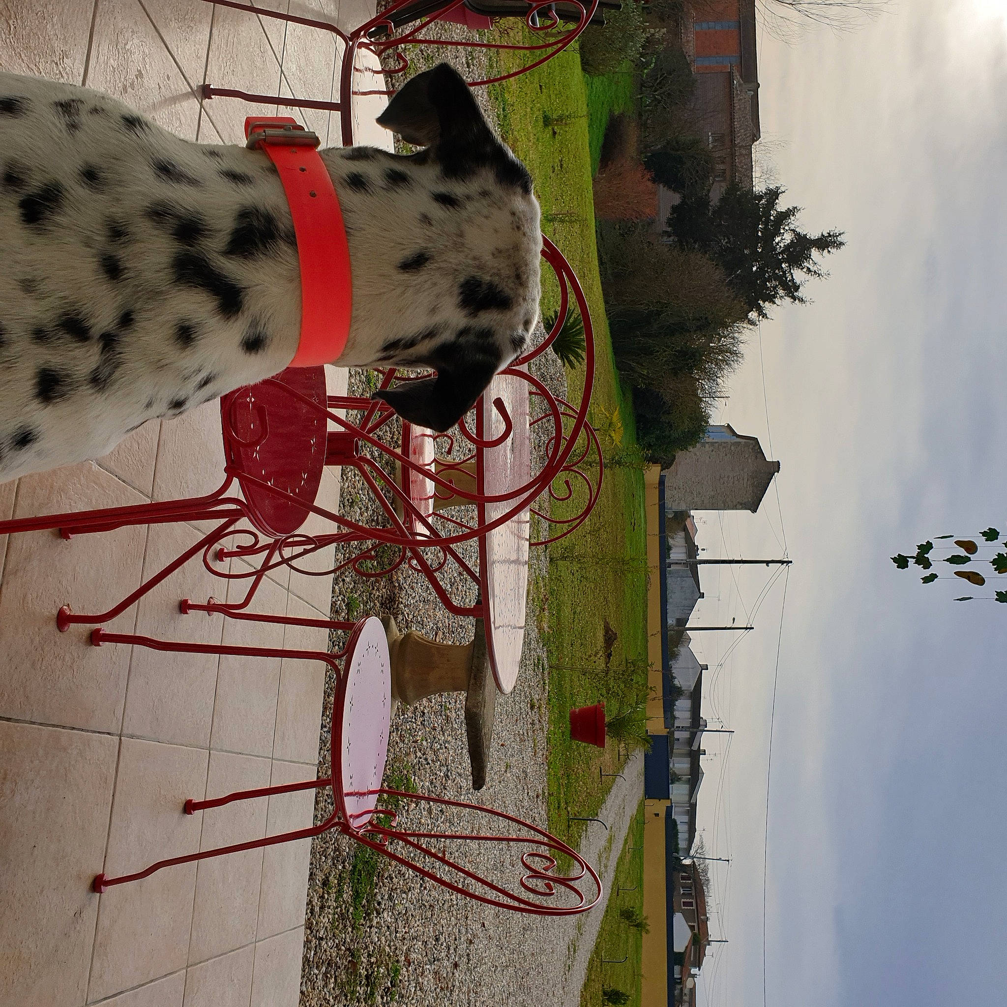 Hollywood participe au concours pour gagner de l'argent avec cette photo : art, carmine, cloud, electricity, facade, green, line, pattern, plant, pole, public_utility, sky, textile, tree, twig, urban_design, visual_arts, white, wire, working_animal