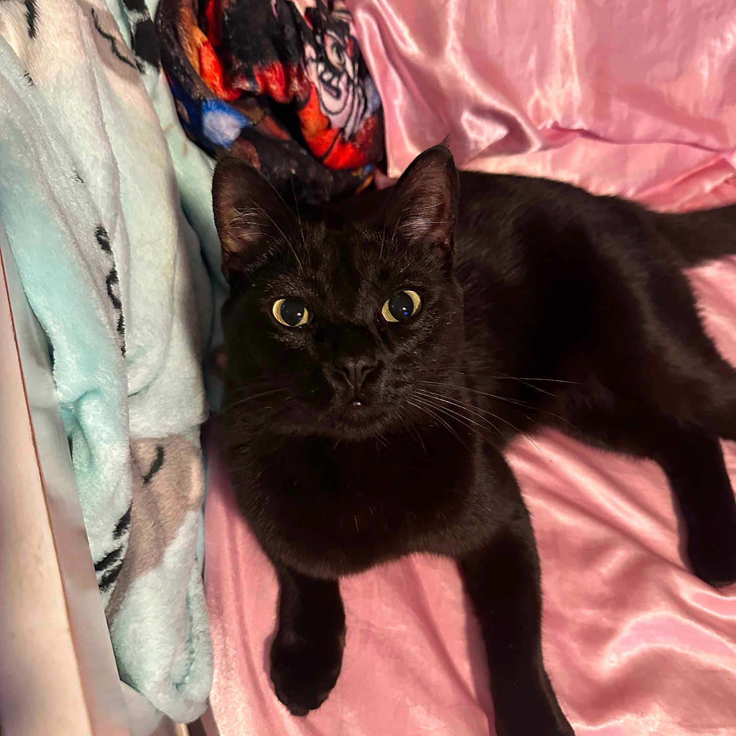 Binx