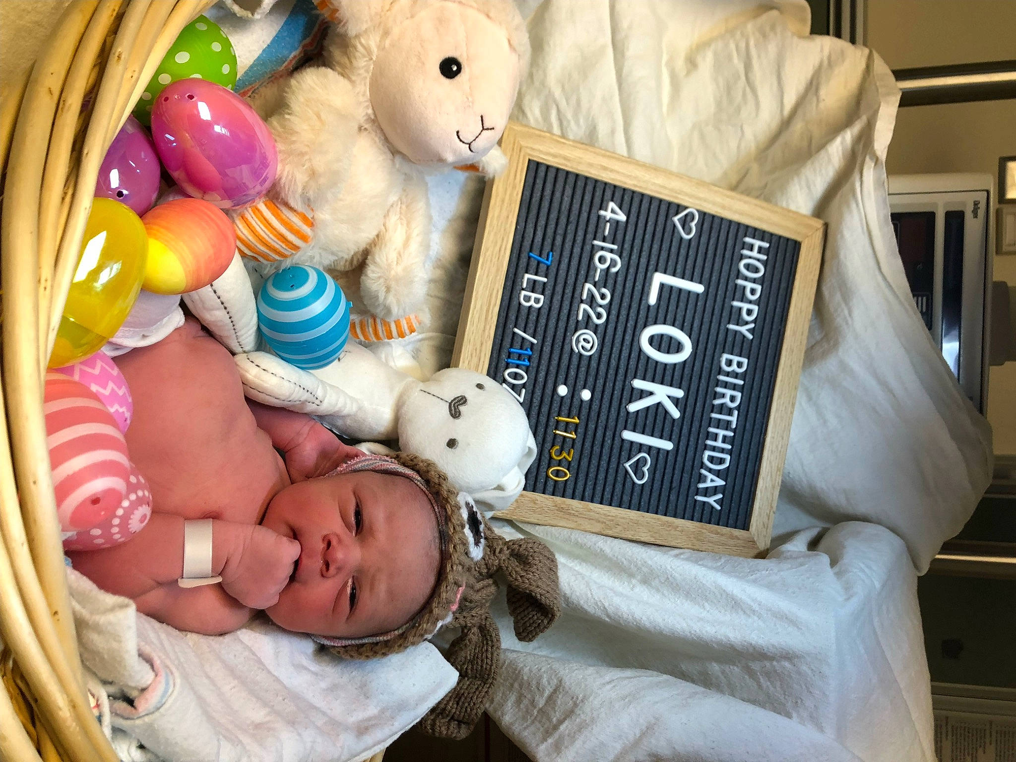 Loki is registered to the contest to win money with this photo: baby, bookcase, child, comfort, event, health_care, linens, medical, medical_equipment, organ, patient, person, product, publication, room, shelf, shelving, textile, toddler, toy