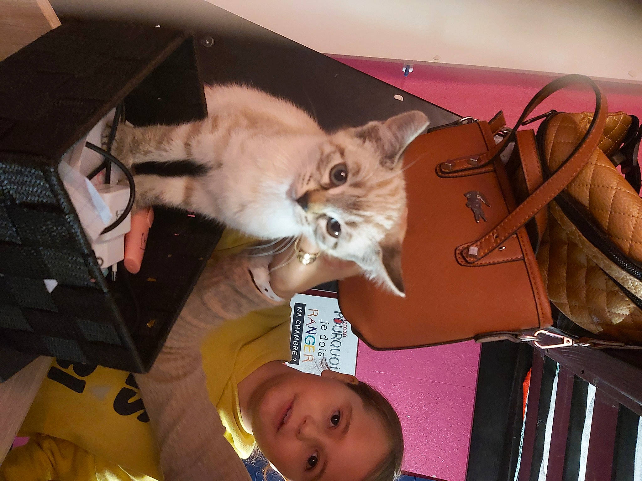 Belle participe au concours pour gagner de l'argent avec cette photo : box, cardboard, carnivore, cat, computer_keyboard, domestic_short_haired_cat, fawn, felidae, fur, happy, lap, mammal, room, shipping_box, small_to_medium_sized_cats, smile, tail, toddler, whiskers, wood