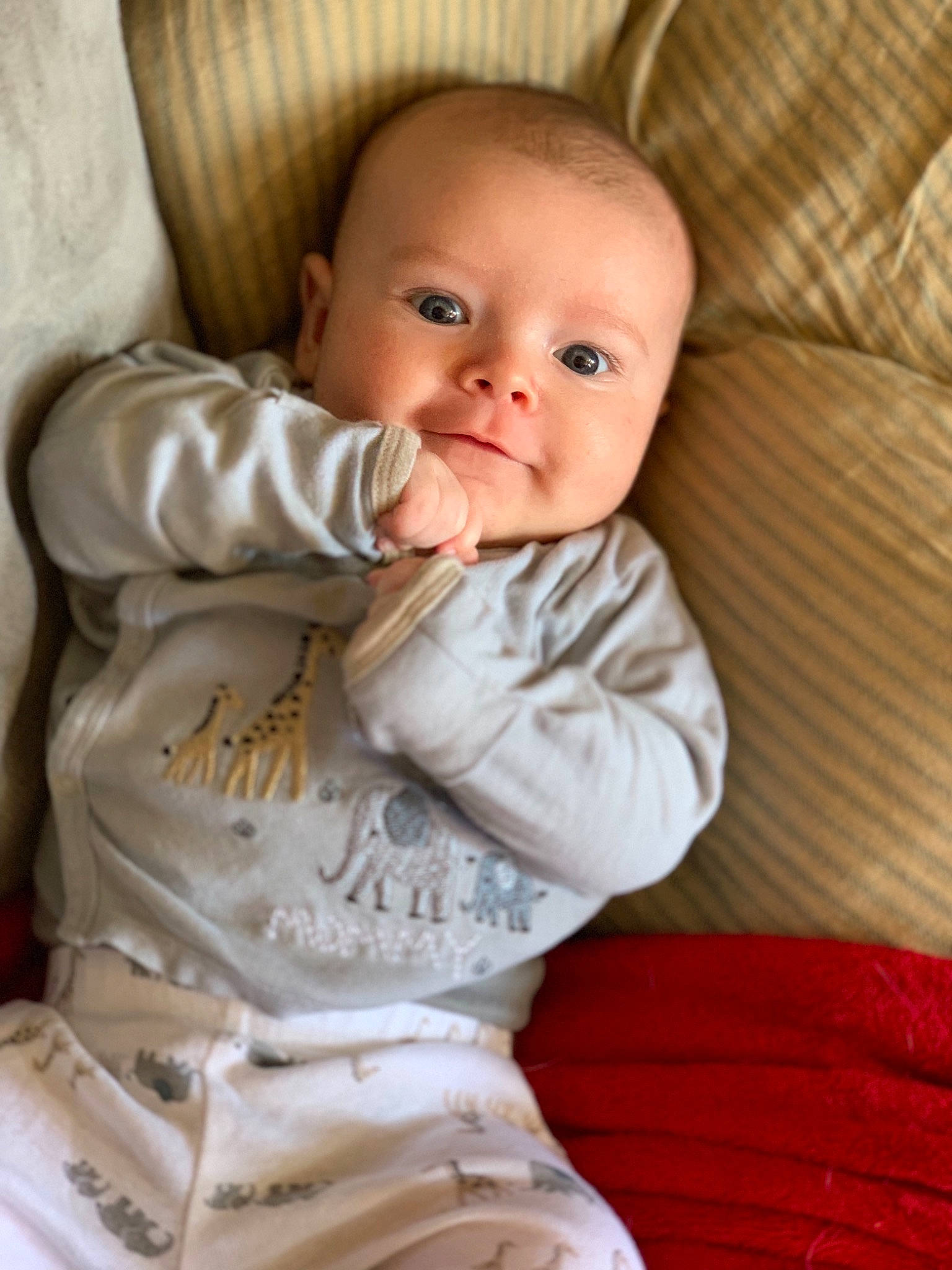 Kashton is registered to the contest to win money with this photo: baby, cheek, child, eye, nose, person, sitting, skin, toddler