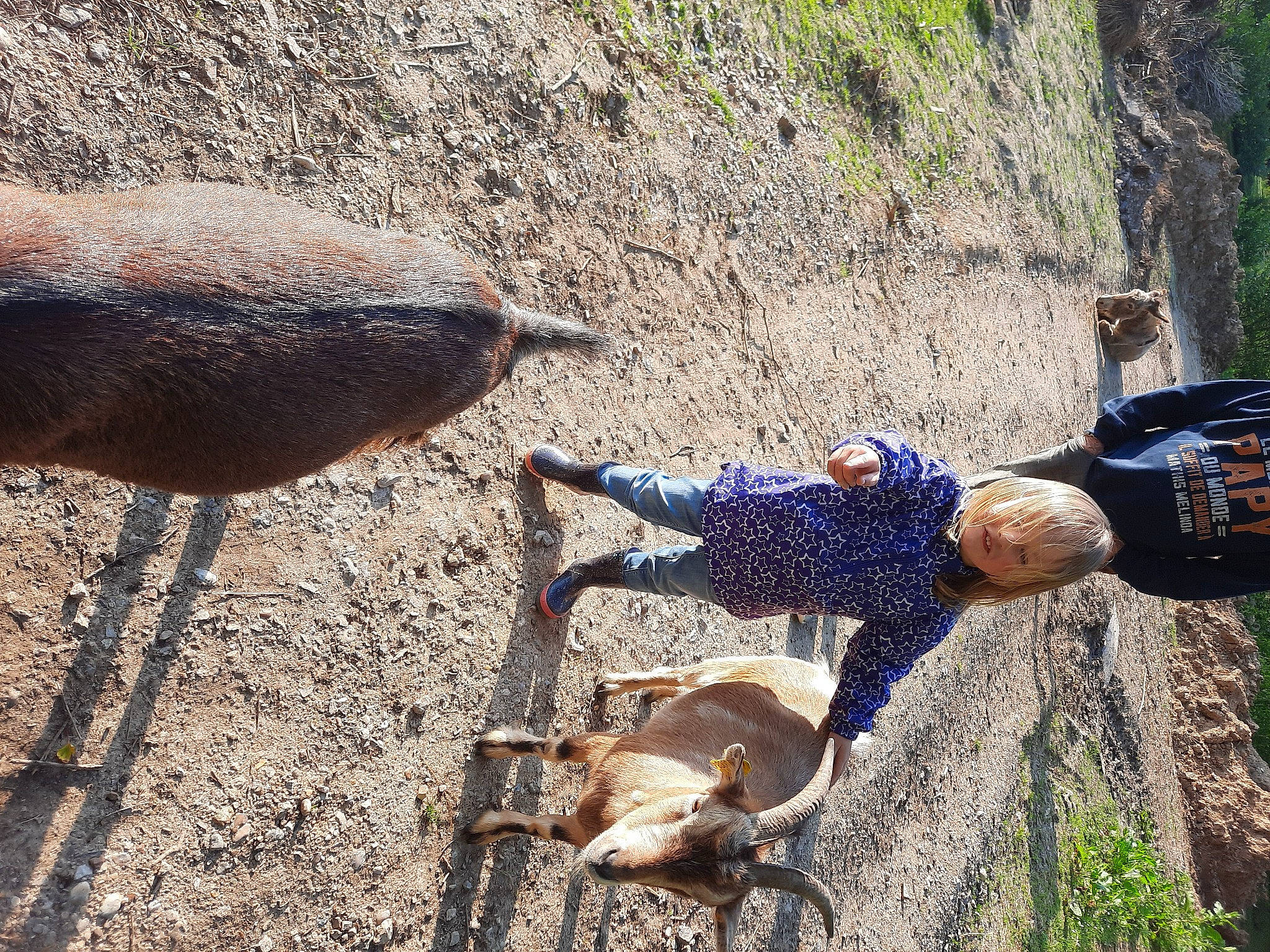 Melinda participe au concours pour gagner de l'argent avec cette photo : adventure, electric_blue, fawn, flightless_bird, geology, grass, landscape, leisure, livestock, people_in_nature, person, plant, recreation, rock, shadow, soil, terrestrial_animal, wildlife, wood, working_animal