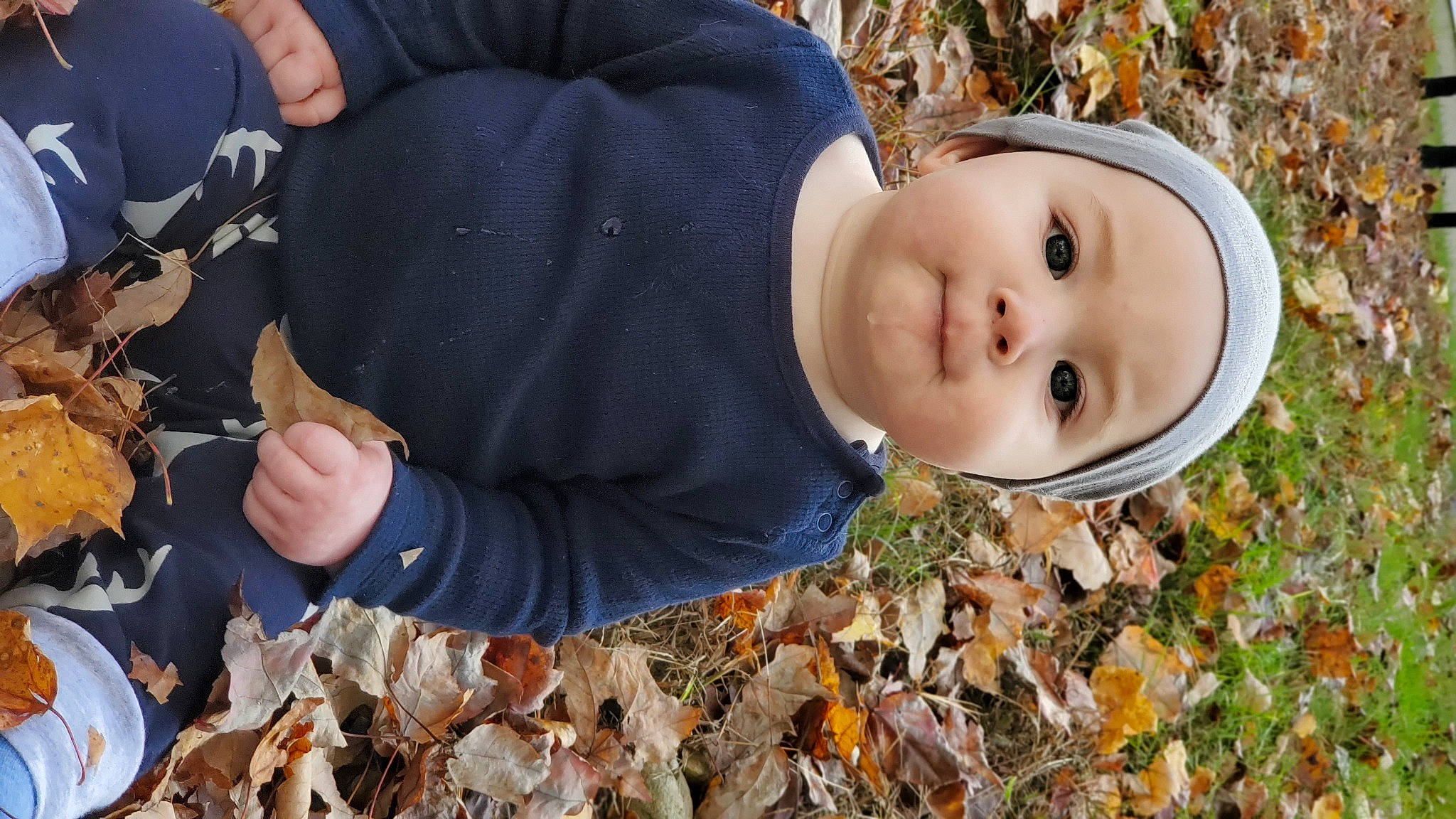 Nathan joined the competition — help win amazing prizes! autumn, baby, child, deciduous, eye, fur, grass, hand, happy, head, headwear, human_body, leaf, people_in_nature, person, plant, portrait_photography, soil, toddler, tree