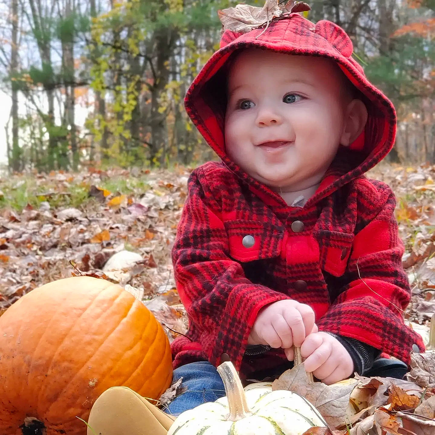 Nathan joined the competition — help win amazing prizes! calabaza, cucurbita, eye, face, gourd, happy, head, headwear, human_body, joy, leaf, natural_foods, organ, people_in_nature, person, photograph, plant, pumpkin, smile, squash