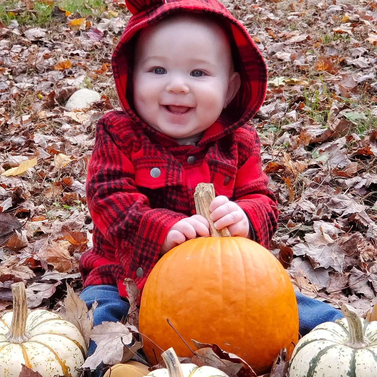 Nathan is registered to the contest to win money with this photo: calabaza, clothing, eye, facial_expression, gourd, happy, head, headwear, human_body, joy, leaf, natural_foods, nature, organ, outerwear, people_in_nature, person, photograph, plant, pumpkin