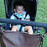 baby, bag, brown_bag, casual_clothing, child, cute, daylight, expression, grass, greenery, infant, outdoor, park, person, portrait, seatbelt, stroller, summer, toddler, young_child