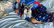 Rossie Boy Roscoe is registered to the contest to win money with this photo: bed, blanket, boy, canine, carpet, casual, child, cozy, cute, dog, friendship, furniture, happy, home, indoor, pajamas, pet, pillow, resting, smile