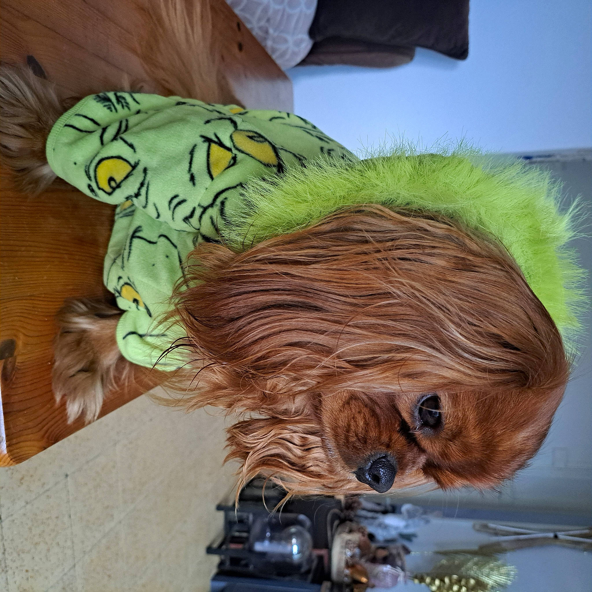 Tristan participe au concours pour gagner de l'argent avec cette photo : art, carnivore, eyewear, fashion_accessory, fawn, feather, felidae, fictional_character, fur, headgear, helmet, lion, mask, painting, personal_protective_equipment, snout, tree, visual_arts, whiskers, wood