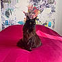 cat, black_cat, fluffy, bed, pink_bedspread, wallpaper, abstract_art, floral_pattern, indoor, pet, animal, feline, yellow_eyes, long_fur, sitting, regal, colorful, decor, light, shadow