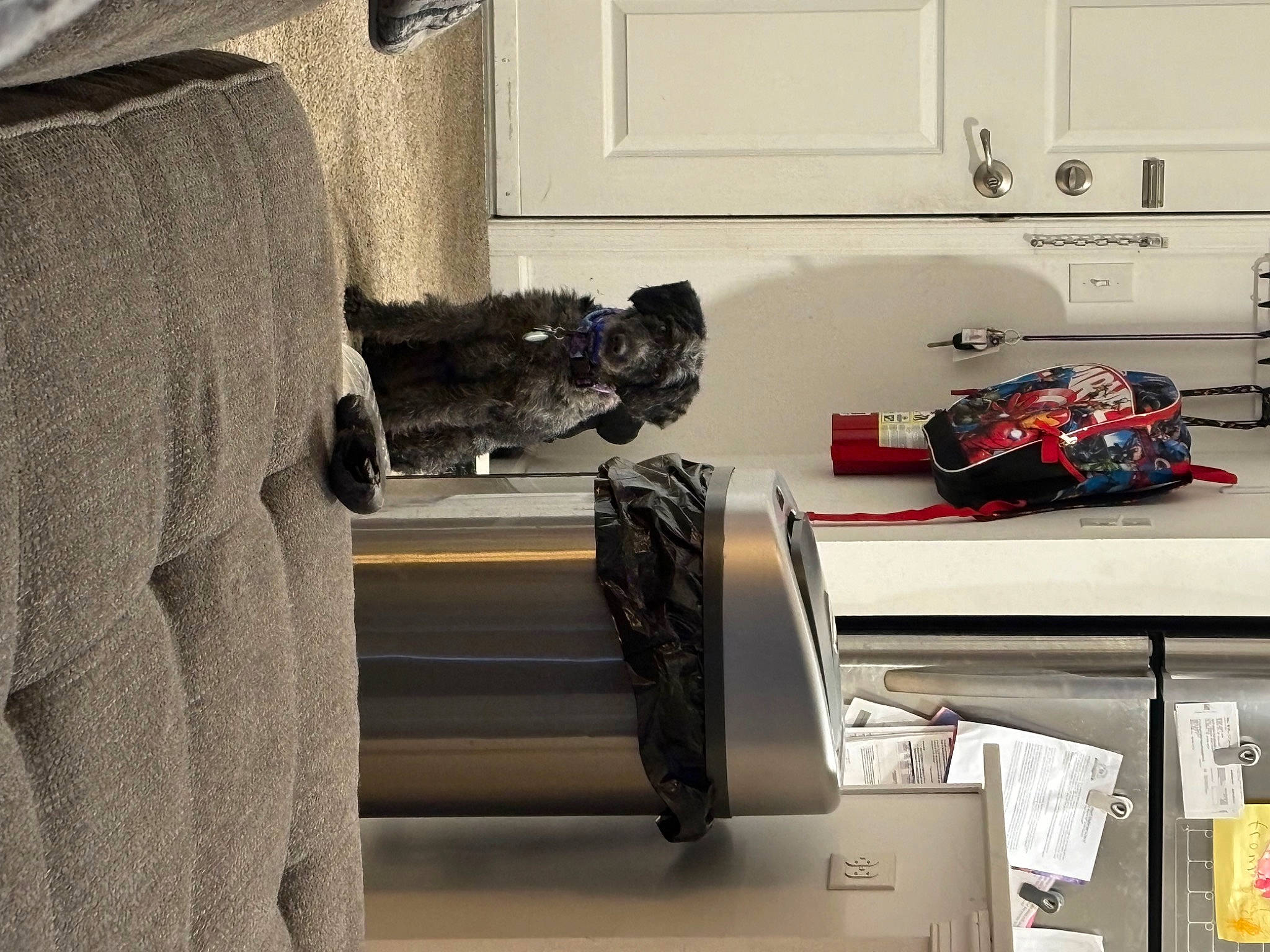 Stormy is registered to the contest to win money with this photo: automotive_design, automotive_exterior, automotive_tire, bag, carmine, comfort, floor, flooring, grey, hardwood, home_appliance, kitchen, luggage_and_bags, machine, room, shelving, textile, vehicle_door, wall, wood