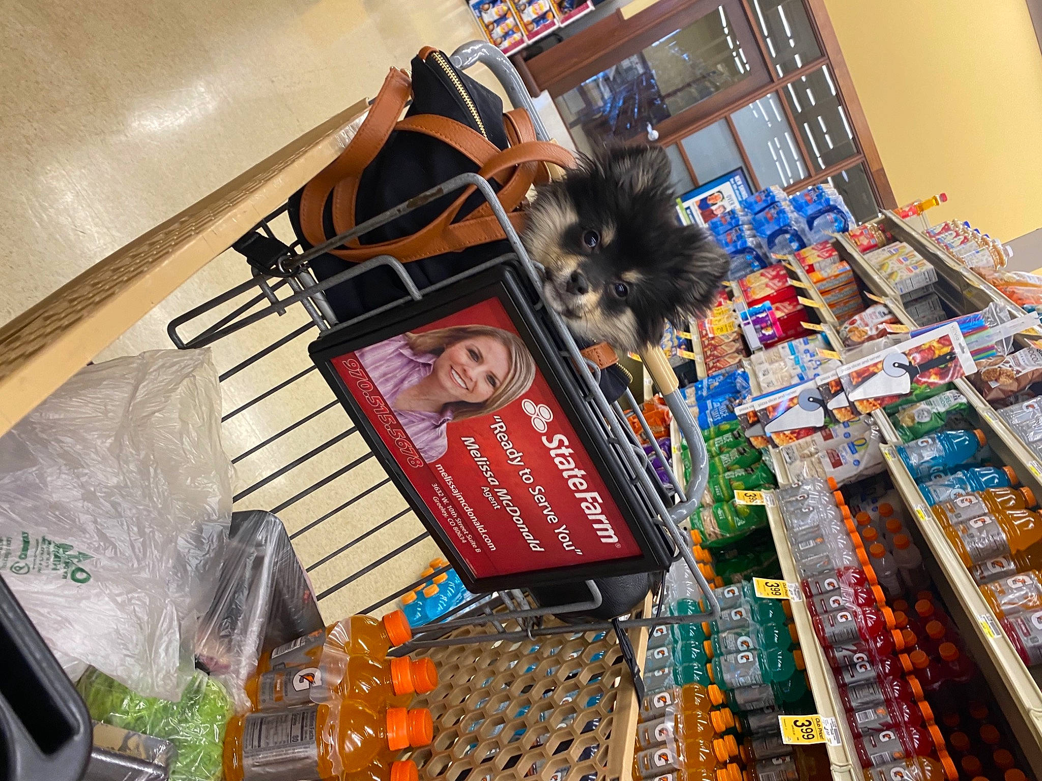 Braxton is registered to the contest to win money with this photo: advertising, book_cover, building, city, collection, convenience_food, convenience_store, flooring, hardwood, publication, retail, room, shelf, shelving, whole_food, wood