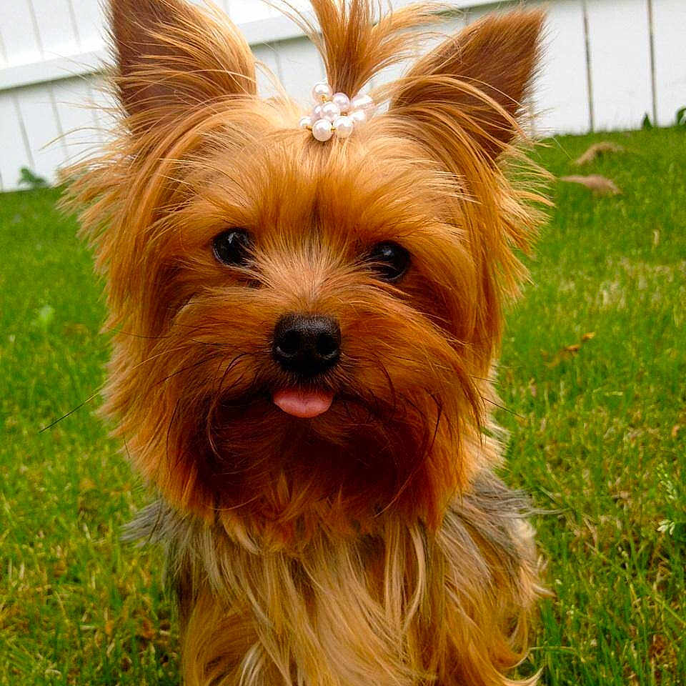 Palmer is registered to the contest to win money with this photo: