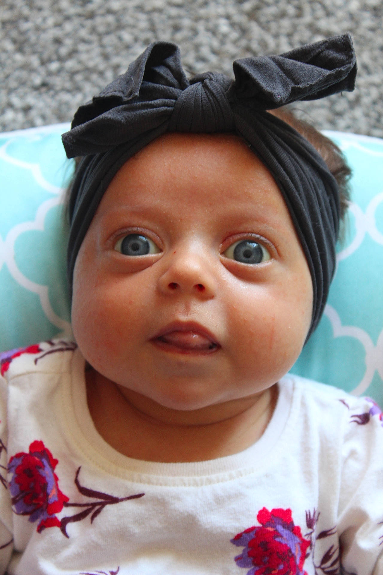 Ellie joined the competition — help win amazing prizes! black, cheek, chin, eye, eyebrow, eyelash, face, facial_expression, forehead, hair, hairstyle, head, headwear, iris, lip, mouth, neck, nose, organ, person