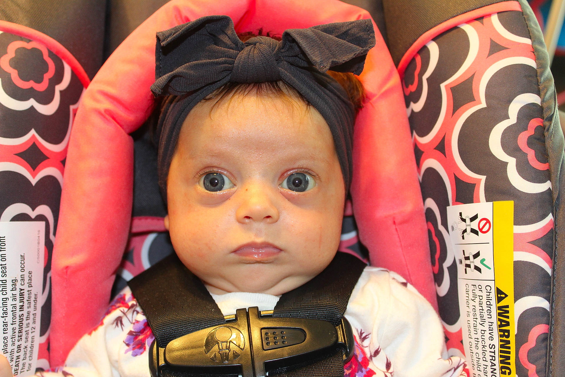 Ellie joined the competition — help win amazing prizes! cheek, cool, eye, eyebrow, eyelash, face, forehead, hair, hairstyle, happy, head, headgear, headwear, human, mammal, mouth, nose, organ, people, person