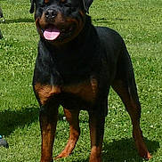 Hastride participe au concours pour gagner de l'argent avec cette photo :