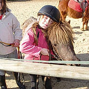 Hatsride participe au concours pour gagner de l'argent avec cette photo :