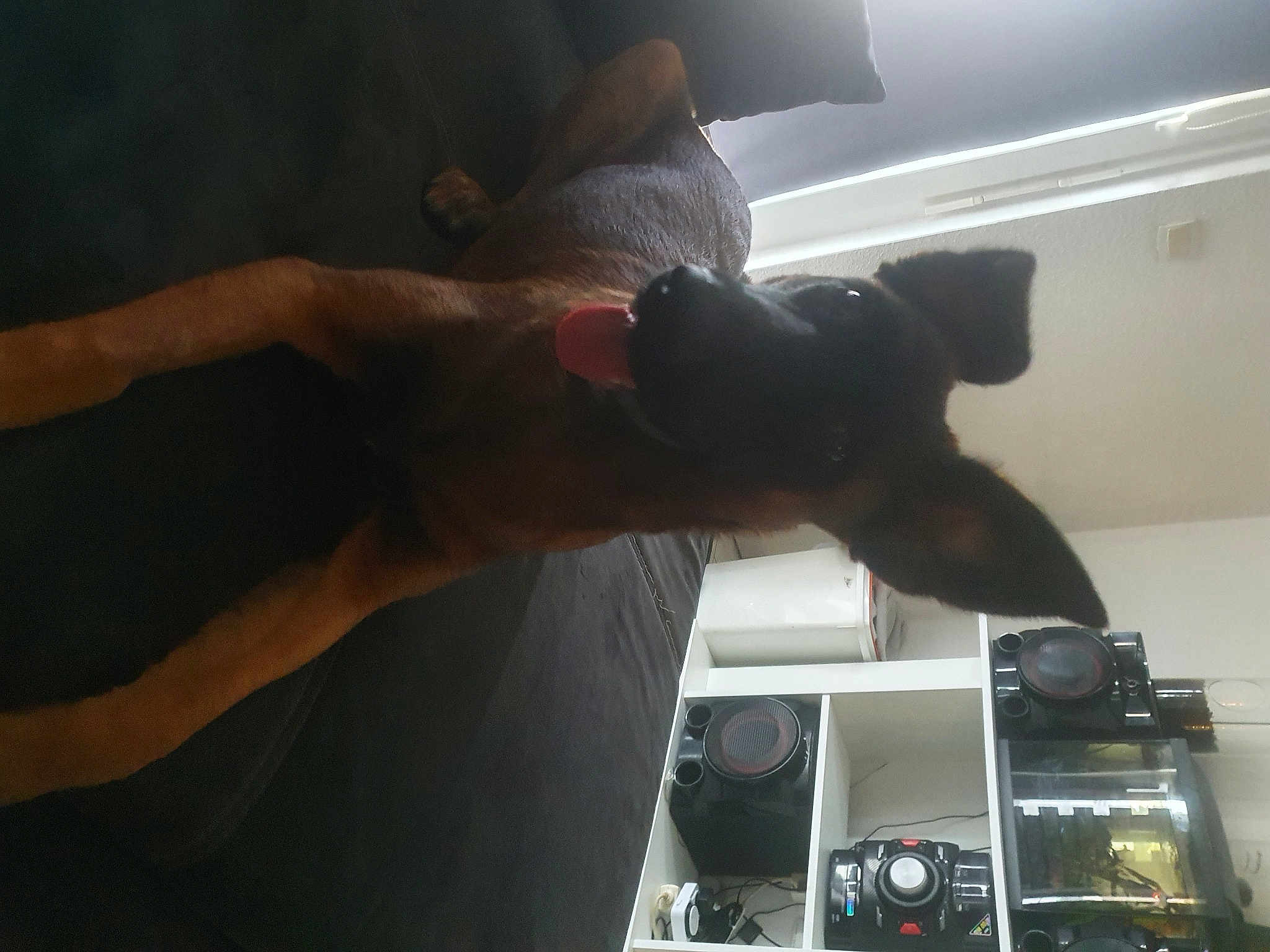 Tarra