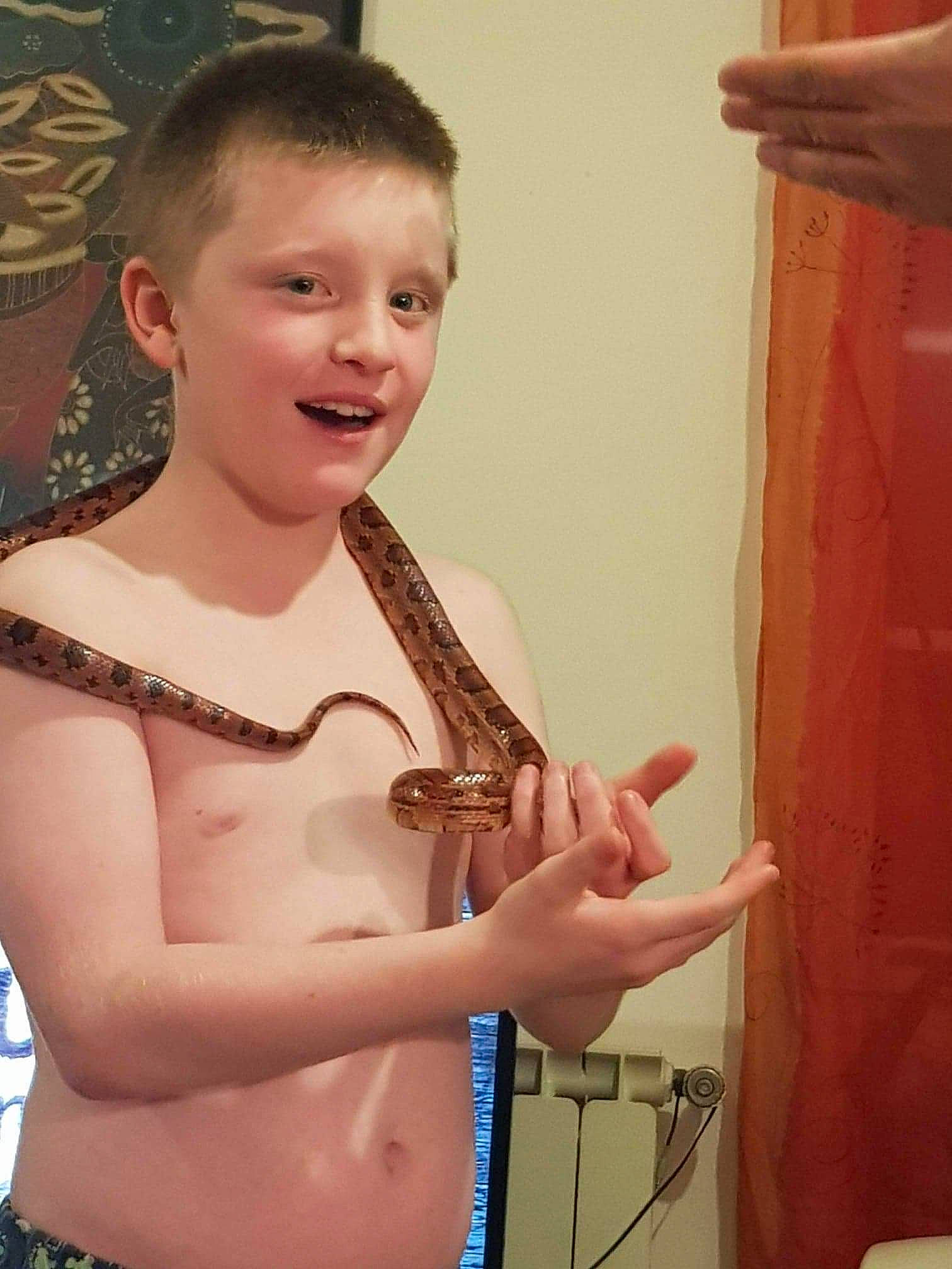 Waza a rejoint le concours — aidez-le/la à gagner de superbes lots ! abdomen, arm, chest, child, hand, neck, python, shoulder, toddler, trunk