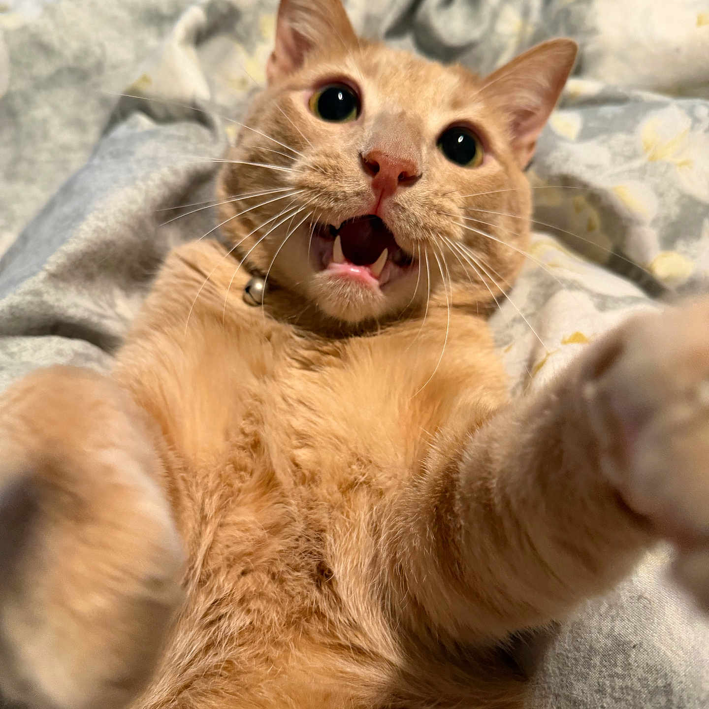 Goober