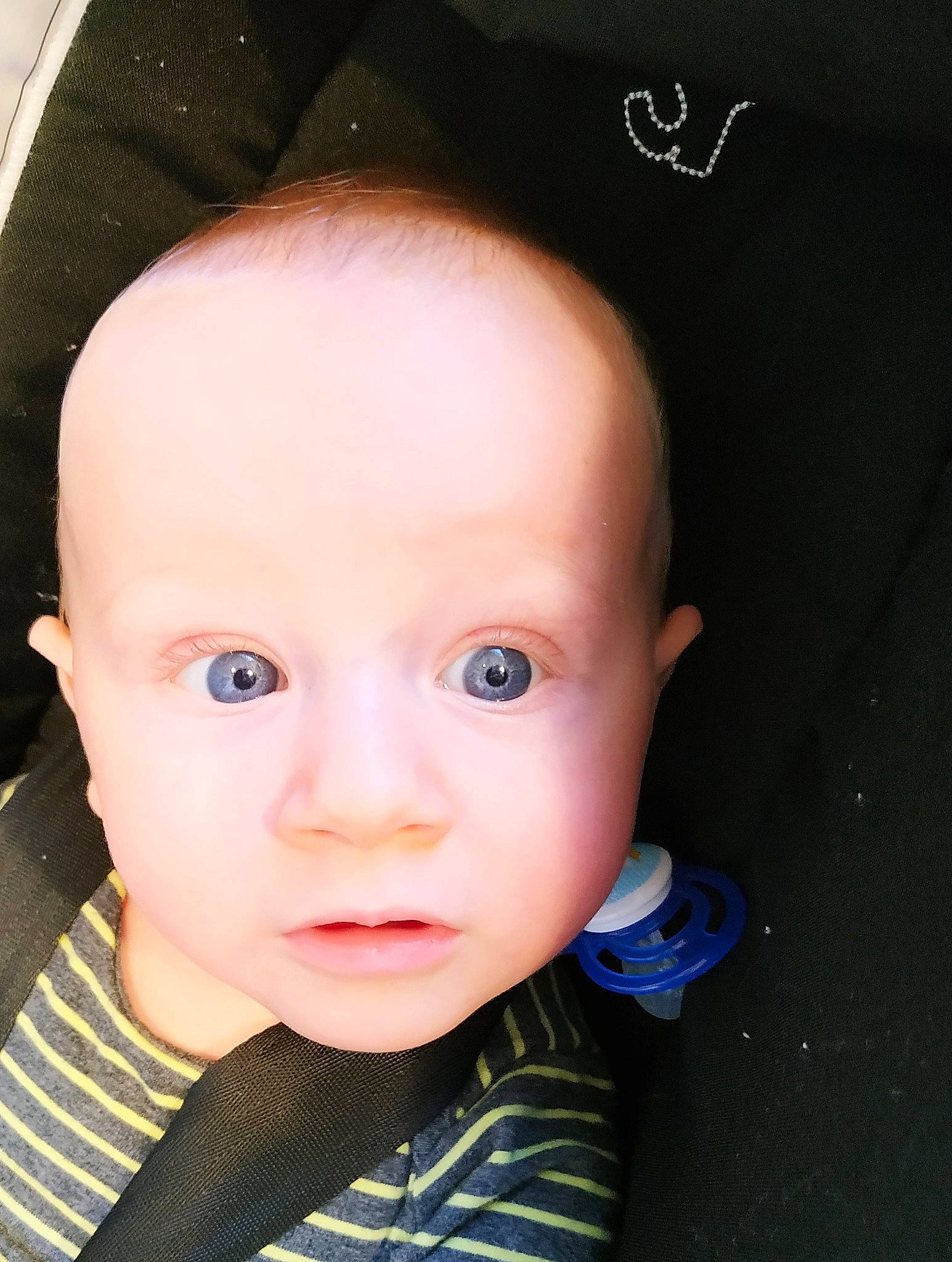 Sacha a rejoint le concours — aidez-le/la à gagner de superbes lots ! baby, beauty, cheek, child, chin, close_up, cool, ear, eye, eyebrow, face, forehead, hair, head, iris, lip, nose, organ, person, skin