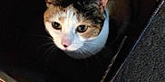 Annabelle is registered to the contest to win money with this photo: