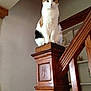 Annabelle is registered to the contest to win money with this photo: