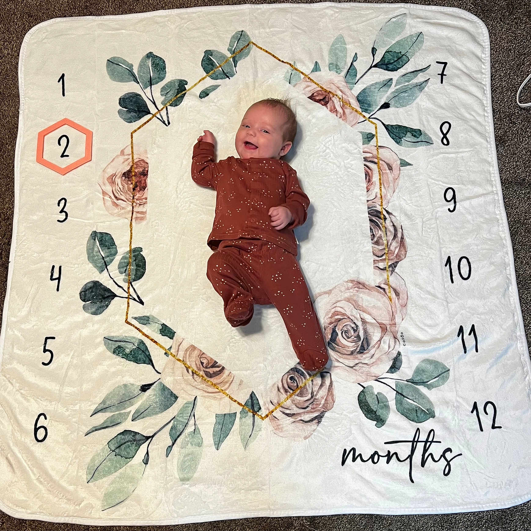 Delilah joined the competition — help win amazing prizes! baby, face, head, infantbed, number, person, sitting, symbol, text