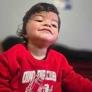 Royal is registered to the contest to win money with this photo: child, toddler, red_sweatshirt, dinosaur, construction_vehicle, smile, face, indoor, portrait, clothing, cute, young_child, happy, casual, person, sitting, hair, expression, apparel, playful