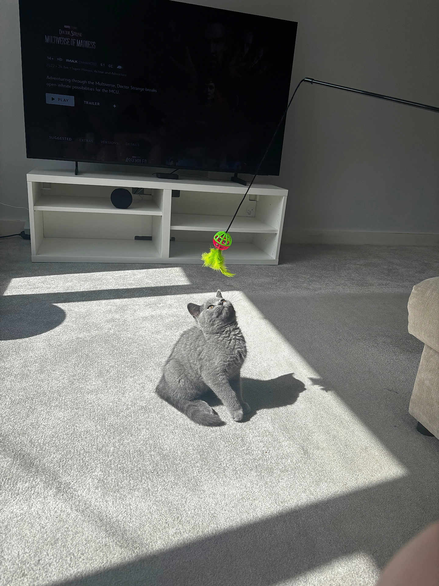 Mylo
