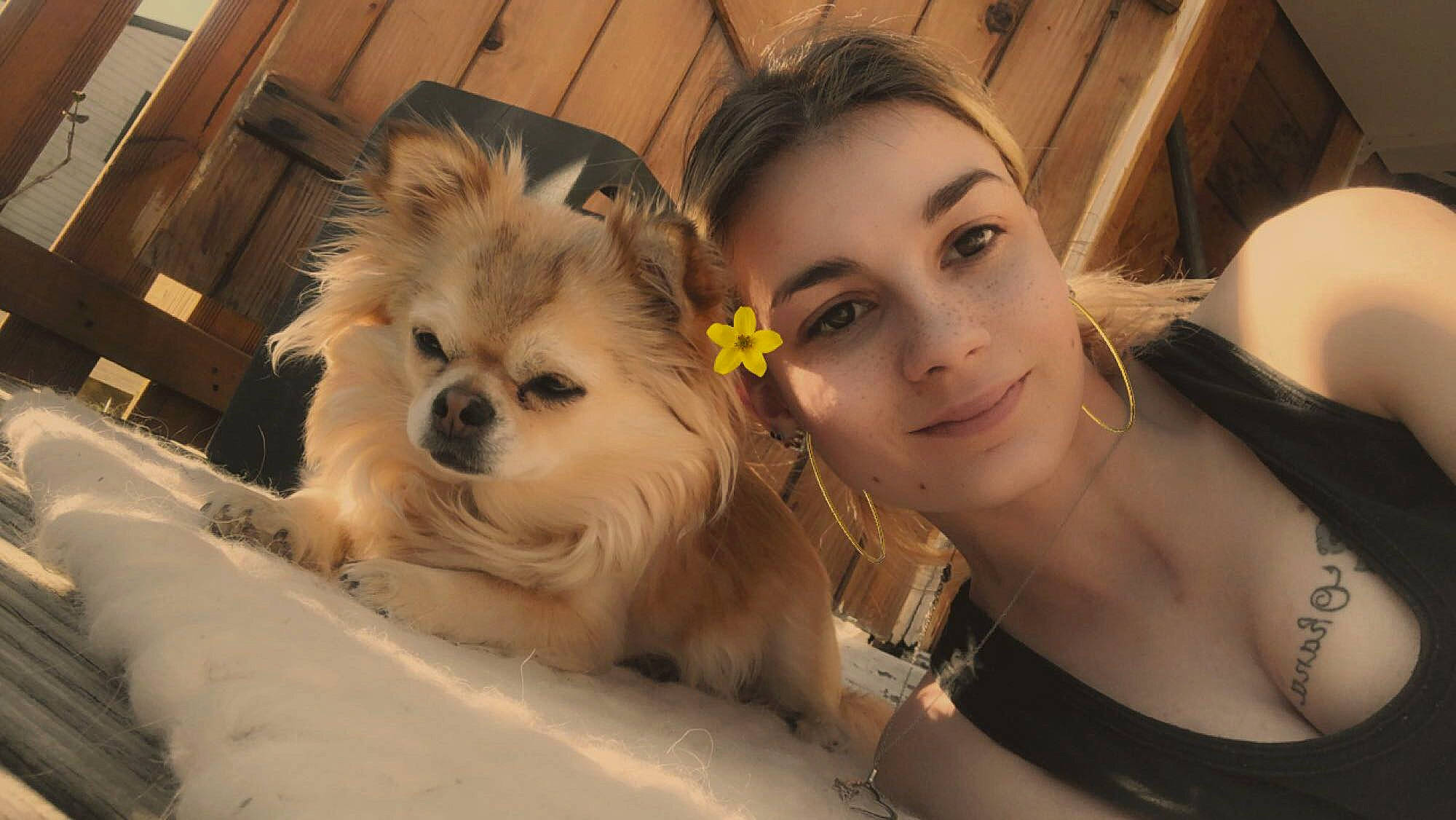 Ouchka participe au concours pour gagner de l'argent avec cette photo : canidae, carnivore, companion_dog, dog, dog_breed, eye, face, fawn, german_spitz, german_spitz_klein, german_spitz_mittel, head, mammal, nose, pomeranian, puppy_love, skin, snout, spitz, tibetan_spaniel