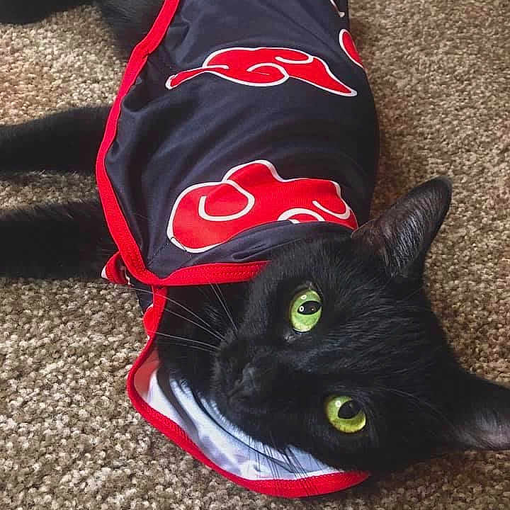 Nala