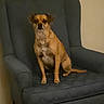 Gibbs is registered to the contest to win money with this photo: