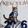 cat, feline, kitten, scarf, cape, new_year, balloons, 2026_numbers, banner, celebration, party, silver, blue, string_lights, ribbon, studio_photo, portrait, sitting, face, holiday_decor