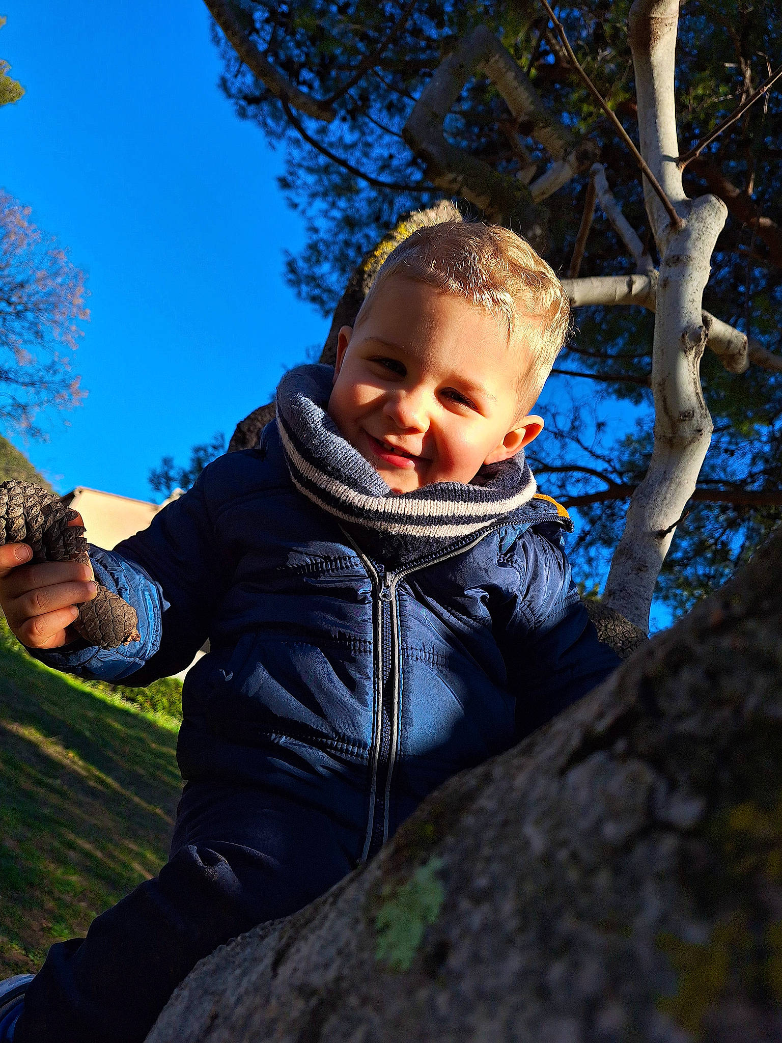 Nathan a rejoint le concours — aidez-le/la à gagner de superbes lots ! branch, electric_blue, eye, flash_photography, fun, grass, happy, jacket, joy, leaf, leisure, people_in_nature, person, plant, sky, smile, sunlight, toddler, tree, twig