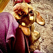 Mila is registered to the contest to win money with this photo: animal, blanket, bodypart, bulldog, canine, cat, chihuahua, dog, face, finger, hand, head, hound, person, pet, photography, plush, portrait, puppy, toy